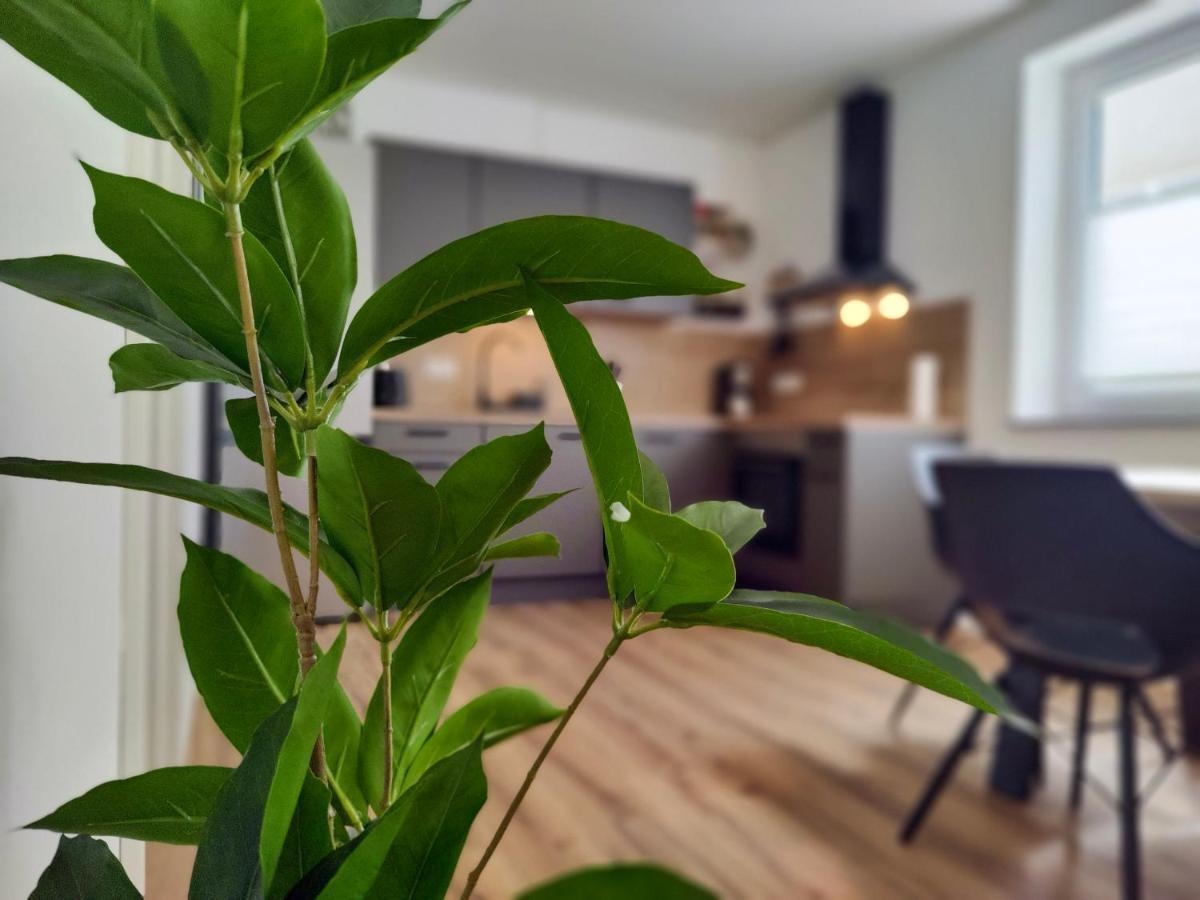 Hygge Home - Mit Garten Und Stellplatz Fuer Feriengaeste-, Monteure / Netflix / 10 Min. Zur Sinsheim Therme Und Zur Autobahn Zewnętrze zdjęcie