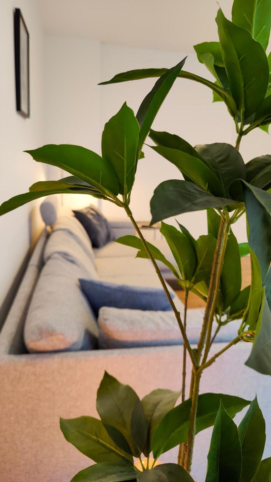 Hygge Home - Mit Garten Und Stellplatz Fuer Feriengaeste-, Monteure / Netflix / 10 Min. Zur Sinsheim Therme Und Zur Autobahn Zewnętrze zdjęcie